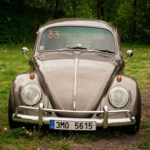 13th International Beetle Meeting in Czech Republic (spring event)