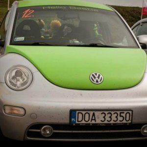 13th International Beetle Meeting in Czech Republic (spring event)