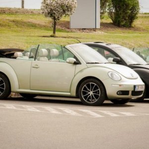 13th International Beetle Meeting in Czech Republic (spring event)