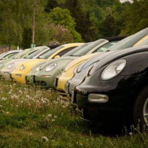 13th International Beetle Meeting in Czech Republic (spring event)