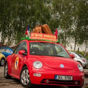 13th International Beetle Meeting in Czech Republic (spring event)