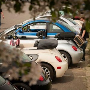 13th International Beetle Meeting in Czech Republic (spring event)