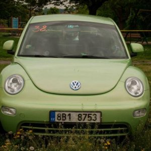 13th International Beetle Meeting in Czech Republic (spring event)
