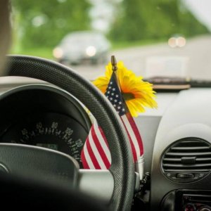 13th International Beetle Meeting in Czech Republic (spring event)