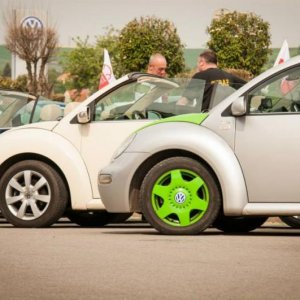 13th International Beetle Meeting in Czech Republic (spring event)