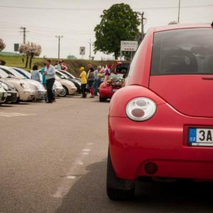 13th International Beetle Meeting in Czech Republic (spring event)