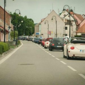 13th International Beetle Meeting in Czech Republic (spring event)