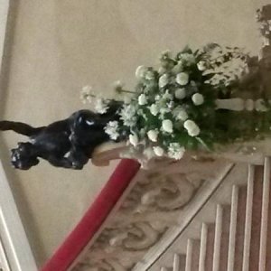 un tranquillo weekend di pa... ...ssione ! parte 2^