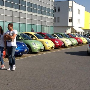 Museo Nicolis-Una raccolta di storia