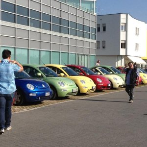 Museo Nicolis-Una raccolta di storia