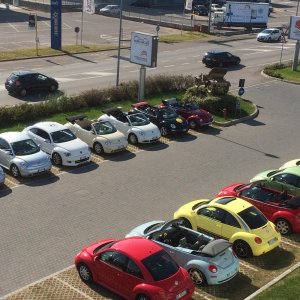 Museo Nicolis-Una raccolta di storia