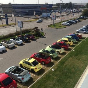 Museo Nicolis-Una raccolta di storia