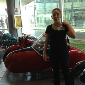 Museo Nicolis-Una raccolta di storia