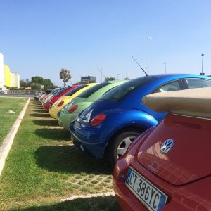 Museo Nicolis-Una raccolta di storia