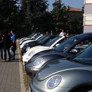 Museo Nicolis-Una raccolta di storia