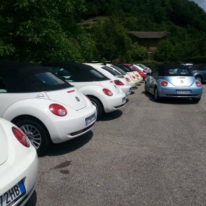 il mio 1? Raduno New Beetle