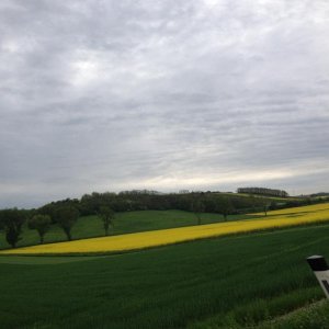 13? raduno internazionale in Rep. Ceca 8-9 maggio 2015