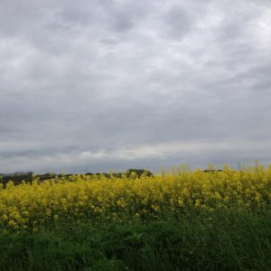 13? raduno internazionale in Rep. Ceca 8-9 maggio 2015