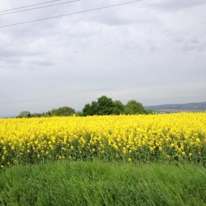 13? raduno internazionale in Rep. Ceca 8-9 maggio 2015