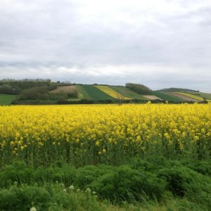 13? raduno internazionale in Rep. Ceca 8-9 maggio 2015