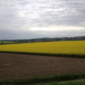 13? raduno internazionale in Rep. Ceca 8-9 maggio 2015