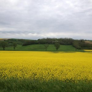 13? raduno internazionale in Rep. Ceca 8-9 maggio 2015