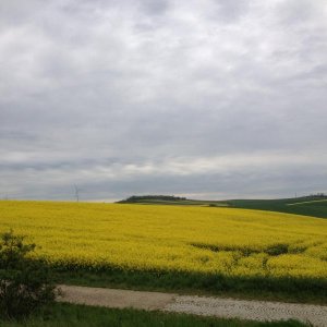 13? raduno internazionale in Rep. Ceca 8-9 maggio 2015