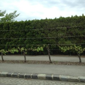 13? raduno internazionale in Rep. Ceca 8-9 maggio 2015