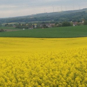 13? raduno internazionale in Rep. Ceca 8-9 maggio 2015