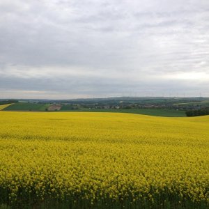 13? raduno internazionale in Rep. Ceca 8-9 maggio 2015