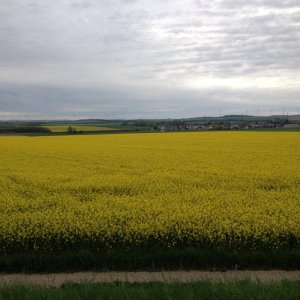 13? raduno internazionale in Rep. Ceca 8-9 maggio 2015