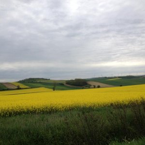 13? raduno internazionale in Rep. Ceca 8-9 maggio 2015