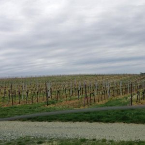 13? raduno internazionale in Rep. Ceca 8-9 maggio 2015