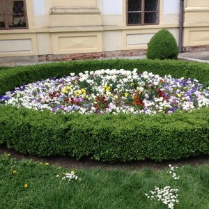 13? raduno internazionale in Rep. Ceca 8-9 maggio 2015