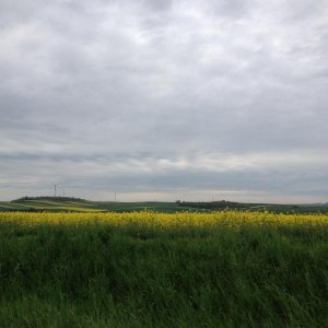 13? raduno internazionale in Rep. Ceca 8-9 maggio 2015