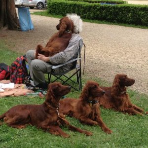 13? raduno internazionale in Rep. Ceca 8-9 maggio 2015