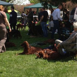 13? raduno internazionale in Rep. Ceca 8-9 maggio 2015