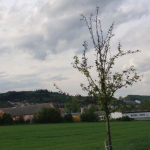 13? raduno internazionale in Rep. Ceca 8-9 maggio 2015