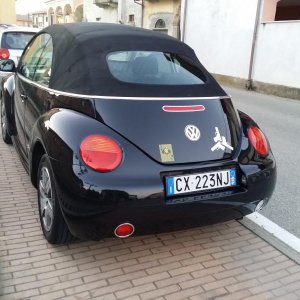 my new beetle