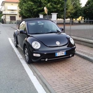 my new beetle