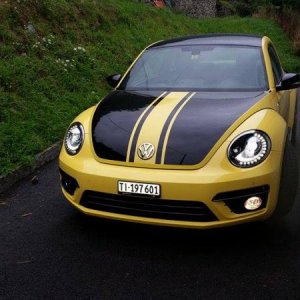 Beetle GSR
