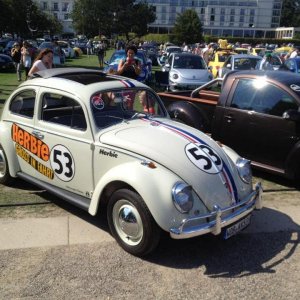 10346273 1141445312549651 2454912451614875959 n