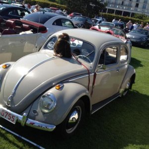 11947452 1141444969216352 9080433905947989215 n - copia