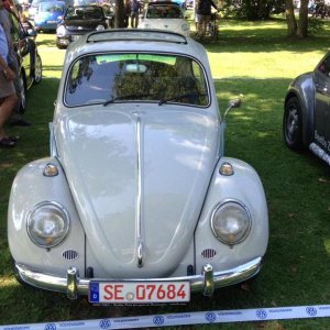 11903813 1141444452549737 4049898819210111644 n