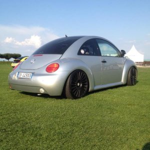 11954665 1141442042549978 2363859389931150325 n