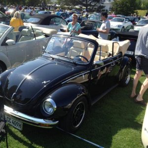 11891196 1141443992549783 6281788182247197877 n