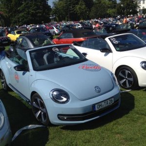 11898908 1141445215882994 1815835087583356975 n