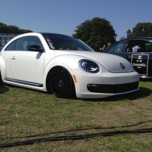 11880640 1141445772549605 6778382510594389010 n - copia