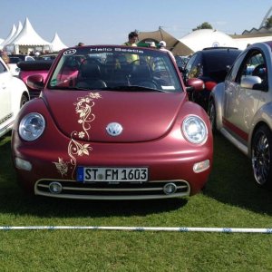 11960044 1141445109216338 4348917430707197773 n