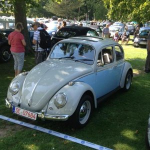 11903981 1141444279216421 8708215423372356976 n